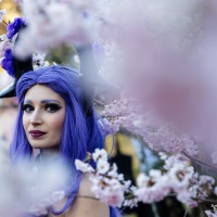 Cosplayer:in vor Blütenbaum auf der Manga-Comic-Con 2024